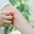 Danas se nastavlja akcija protiv krvopija! Evo koji delovi Beograda su na spisku!