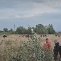 U toku „šetnja protiv blokada“ u Novom Sadu: Građani i policija „jurili“ se po polju na Klisi