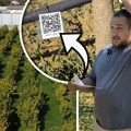 Kad su počeli da ga gaje, ljudi im se smejali: Danas porodici Mađerić ovo egzotično voće puni kućni budžet