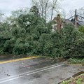 Snažno nevreme pogodilo Poljsku: Oluja odnela krovove i rušila drveće, sumnja se na tornado