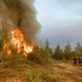 Šumski požar na Eviji, uhapšen muškarac odgovoran za izazivanje požara iz nehata