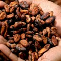 Какао скупљи од бакра: Очекује се виша цена чоколаде за Ускрс