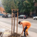 Radovi na rekonstrukciji dečijeg mobilijara