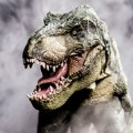 Upravo je lansiran novi hit: Predstavljena torba iz laboratorije, "original" tiranosaurus reks!