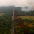 Šumski požar širi se ka Bordou, tokom noći domove napustilo više od 55.000 ljudi
