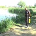 Suzbijanje larvi komaraca pored vodenih površina