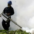Panika zbog komaraca u Brazilu: Prenose tri opasna virusa, sve službe u pripravnosti