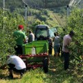 Dragana i Predrag se odselili iz Beograda: Ona je doktorka, a on inženjer i sreću su našli na selu (foto)