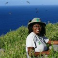 Redonda: Transformacija malog karipskog ostrva u utočište za divlje životinje