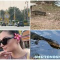 Anastasija imala bliski susret sa smrtonosnim komodo zmajevima: Poznati su po jakom ujedu koji je fatalan iz dva razloga…