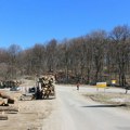 PZP: "Zlatiborizacija" Fruške gore u punom jeku, zaustaviti seču i urbanizaciju