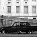 Како је Андреа Цитроëн изгубио све – и створио бесмртни симбол ауто-индустрије
