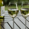 Humanitarna degustacija vina u petak u TONS-u