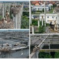 Fenomen kod novog sada oduševljava i nauku i prirodnjaka! Kolonija belih roda broji 75 gnezda i spada među najveće u Evropi