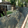 Devet decenija Beogradskog zoološkog vrta