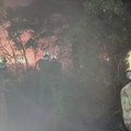 Novi Sad: Pomoć za vatrogasce, vojnike i dobrovoljce koji gase požar u Deliblatskoj peščari