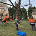 Komunalni radovi u Kragujevcu 18. avgusta: Asfaltiranje, signalizacija i uređenje zelenih površina