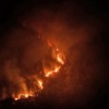 Vatrtogasci iz Pirota gase požar na Staroj planini, sprečeno širenje ka selu Osamkovo