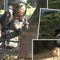 Krade i krije hranu, suši perje fenom: Kaito je najrazmaženije biće u Srbiji - Jelica otkrila detalje života