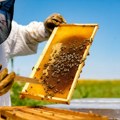 Od 1. maja manji troškovi za pčelare - ušteda blizu 12.000 dinara