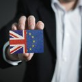 Istraživanje: Većina Britanaca bi glasala za ponovno pridruživanje EU