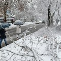 Sneg lomi grane u Beogradu, Zelenilo imalo 54 intervencije