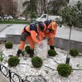 Održavanje kvartova i blokovskog zelenila na više lokacija