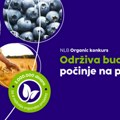 Još 15 dana za prijavu na NLB Organic konkurs: 3.000.000 dinara za organske proizvođače