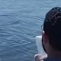 (Video): Egipćani šalju flaše napunjene hranom za Gazu bacajući ih u Sredozemno more: Boce su pune pirinča, žitarica i…