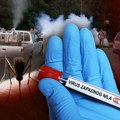Komarci nas urnišu, a biće još gori! Možda baš vi imate leglo, a da to ni ne znate: Pik širenja opasnog virusa koje prenose…