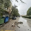Olujno nevreme u Čačku, vetar nosio sve pred sobom, drveće padalo po putu