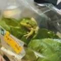 Australijanac našao živu žabu u zatvorenoj kesi zelene salate iz samousluge