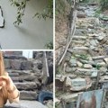 Đorđević: Bunuševac, dve realnosti na jednom mestu