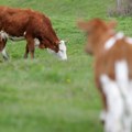 Srbija na listi zemalja koje ispunjavaju nove uslove EU za izvoz hrane