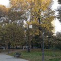 Posle svežeg jutra, pretežno sunčano i toplo – temperatura do 26 stepeni