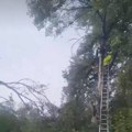 Radovi na uklanjanju rastinja uz dalekovode na području Užica: Povećanje pouzdanosti snabdevanja strujom u zimskom periodu…