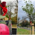 (FOTO) Poruke i cveće u parku Tašmajdan za ubijene u „Ribnikaru“