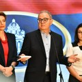 Lutovac (DS): Izbori u Srbiji se pretvorili u lutriju