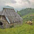 Najbolje fotografije konkursa „Tara i ja”