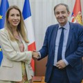 Đedović Handanović: Prvu nuklearku Srbija bi mogla da dobije posle 2040. godine