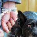 Mučio, pa ubio psa! Uhapšen muškarac kod Mladenovca, meštani u šoku