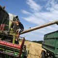 Povećane prognoze o globalnoj proizvodnji žitarica
