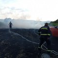 Privredna komora Srbije pozvala kompanije da pomognu ugroženima u požarima: Čadež izneo detalje akcije