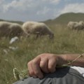 Srpsko-crnogorski film "Planina" posle Sandensa ide u Kopenhagen i Pariz