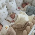 Šipovo ponosno na svoje trojke! Mladi Vujnići dobili dva dečaka i devojčicu prirodnim putem! (foto/video)