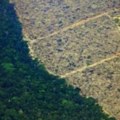 U mandatu Lule smanjeno krčenje prašuma Amazonije za 31 posto