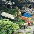 Đuro nekad prodavao po 16 džakova za dan, SAD je to nezamislivo: Cena 300 dinara za kilogram, a sve ga je manje na njivama