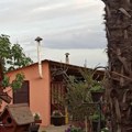 Gaji vinovu lozu, voćnjak i peče rakiju: Pevač pokazao raskošno imanje na kojem je pokrenuo biznis: "Pravim i džem od šljiva"…