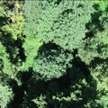Nove tehnologije u borbi protiv klimatskih promena