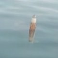 Ау, шта је ово, мајко мила? Рибар на обали мора пронашао језиви метални објекат - обалска стража у паници! (видео)
